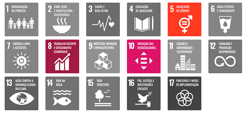Objetivos de Desenvolvimento Sustentável (ODSs) da ONU 5, 8